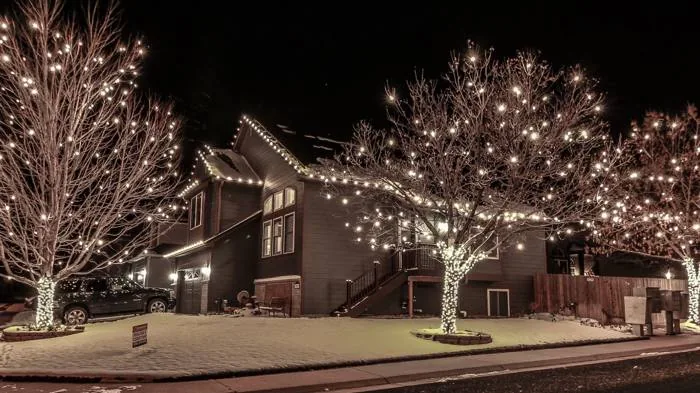 Roofline lights paired with tree trunk wraps